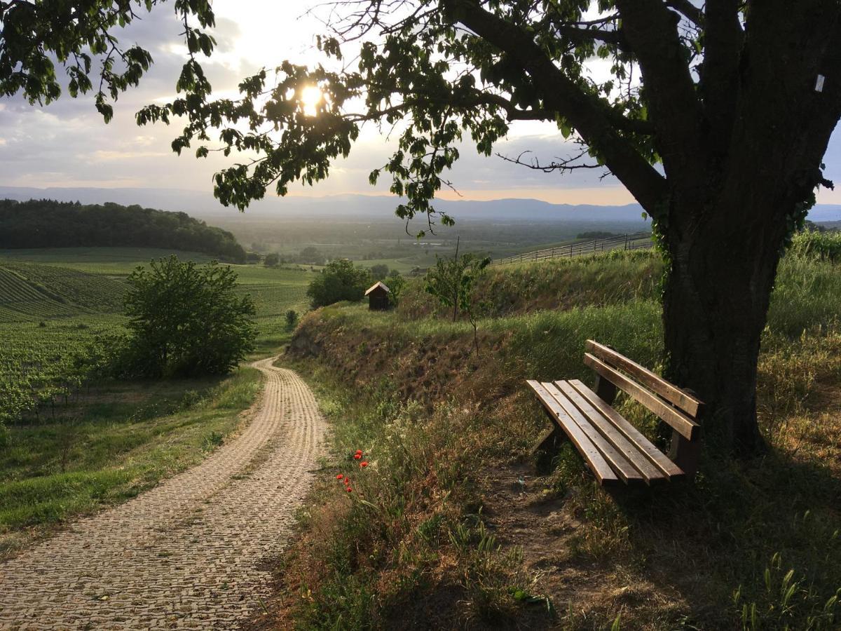 Ferienhaus Irene Vogtsburg Exteriör bild