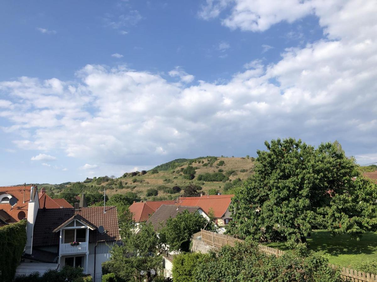 Ferienhaus Irene Vogtsburg Exteriör bild