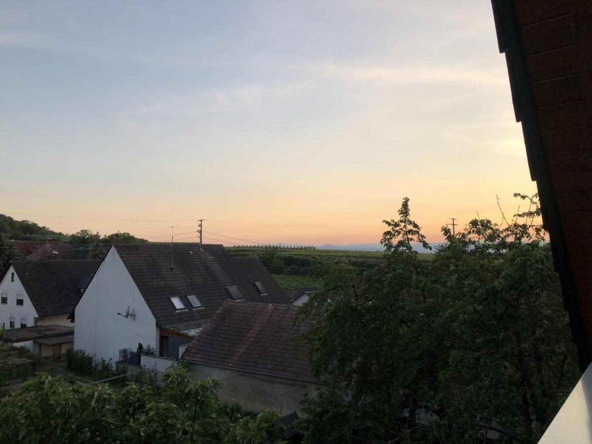 Ferienhaus Irene Vogtsburg Exteriör bild