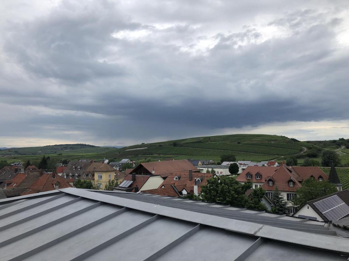 Ferienhaus Irene Vogtsburg Exteriör bild
