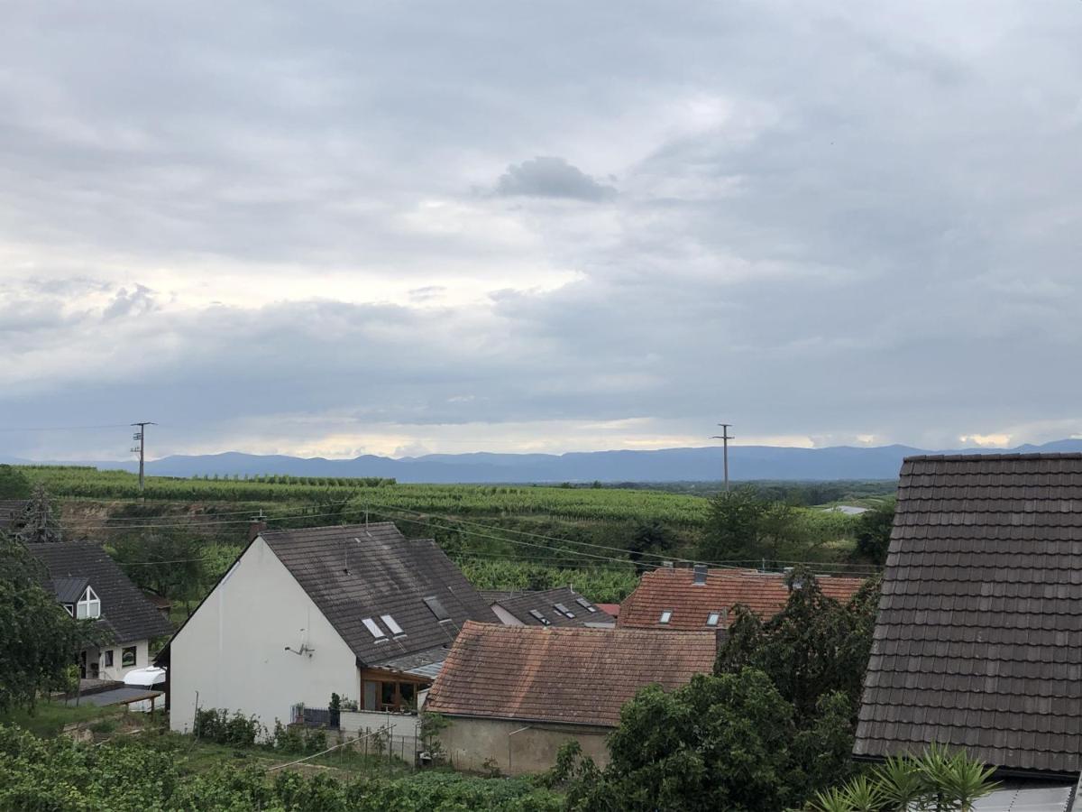 Ferienhaus Irene Vogtsburg Exteriör bild